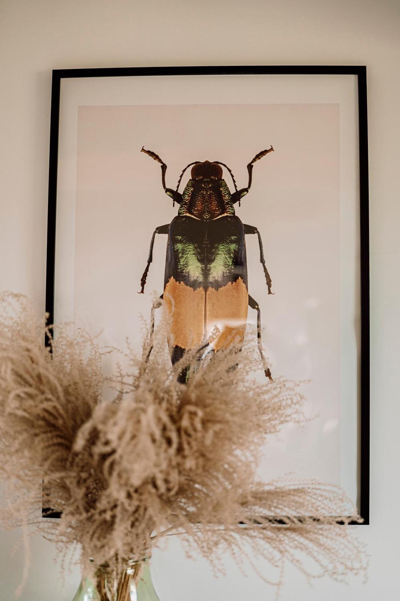 Prawdziwe Morze Villa Sasino Bagian luar foto
